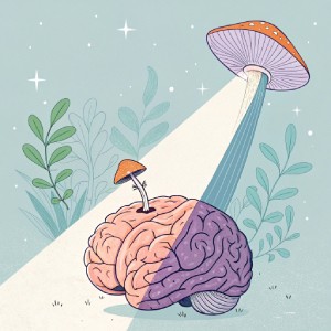 Microdoseren met paddenstoelen
